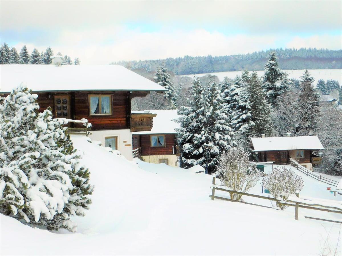 Appartamento Blockhaus-Ferienpark Eisenschmitt Esterno foto